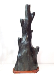 대형 흑단나무(규화목)  화석    ㅅ-21