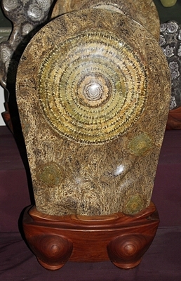 54  대형 해바라기석 32cm 급