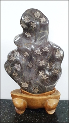 1급 분홍국화석(45cm)      사--49