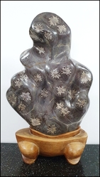 1급 분홍국화석(45cm)      사--49