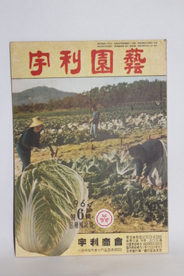1964년  [우리원예]     07-82