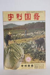 1964년  [우리원예]     07-82